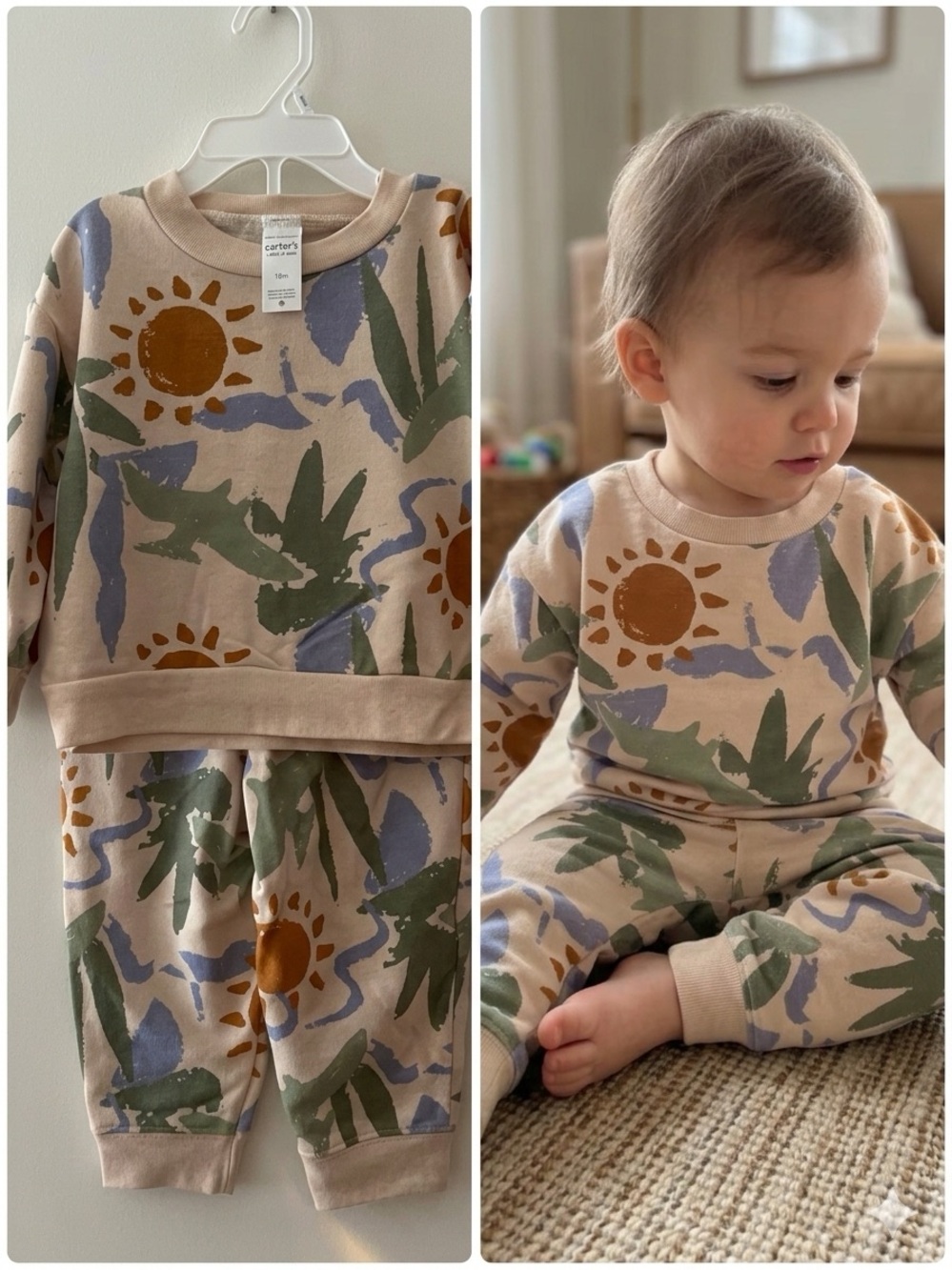 Carter's Unisex Botanical Floral Sweatshirt & Jogger Set - 18M